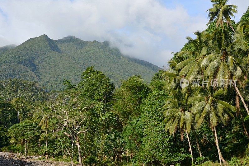 Hibok - Hibok 火山，甘米银岛 - 菲律宾